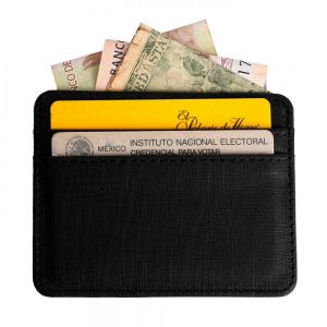 CARTERA MONETA